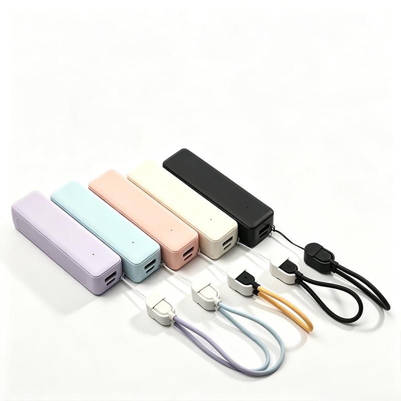 Custodia per Power Bank con Ba - Diy Electronics Power Supply recensione e prezzo